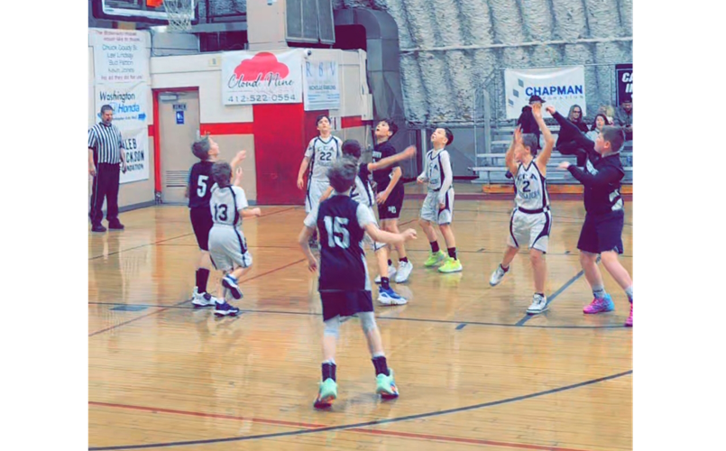 shoot it.